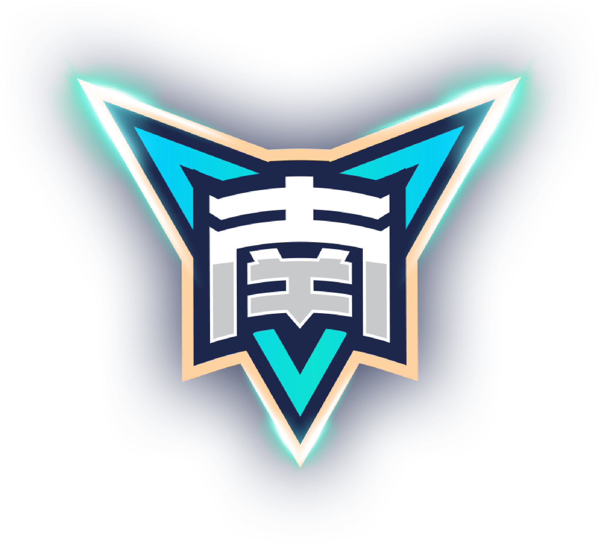 浙江队